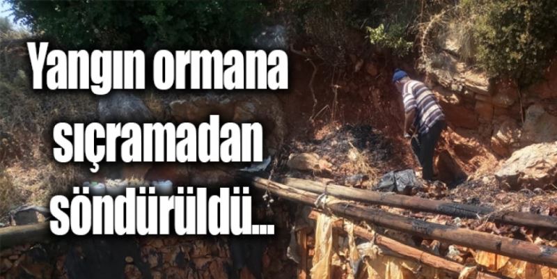 ORMANA SIÇRAMADAN SÖNDÜRÜLDÜ