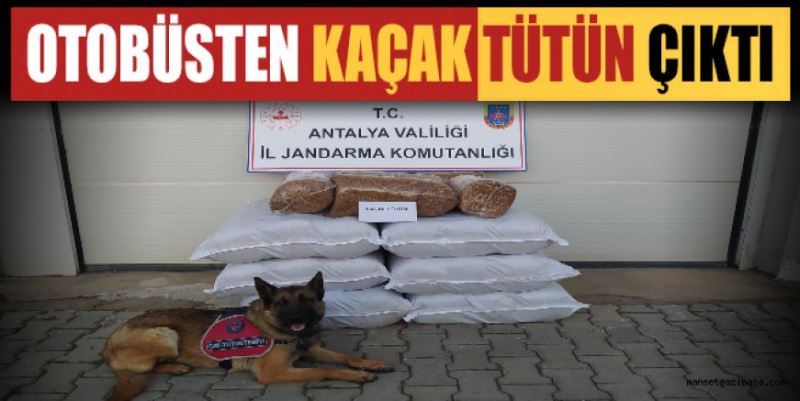 OTOBÜSTEN KAÇAK TÜTÜN ÇIKTI