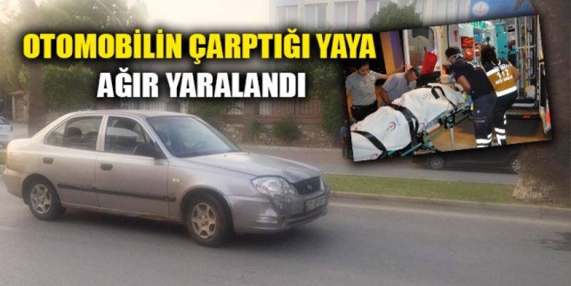 OTOMOBİL YAYAYA ÇARPTI