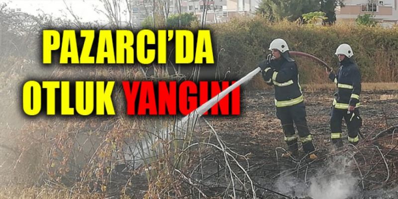 PAZARCI’DA OTLUK YANGINI