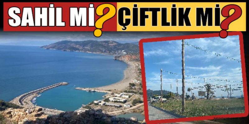 SAHİL Mİ? ÇİFTLİK Mİ?