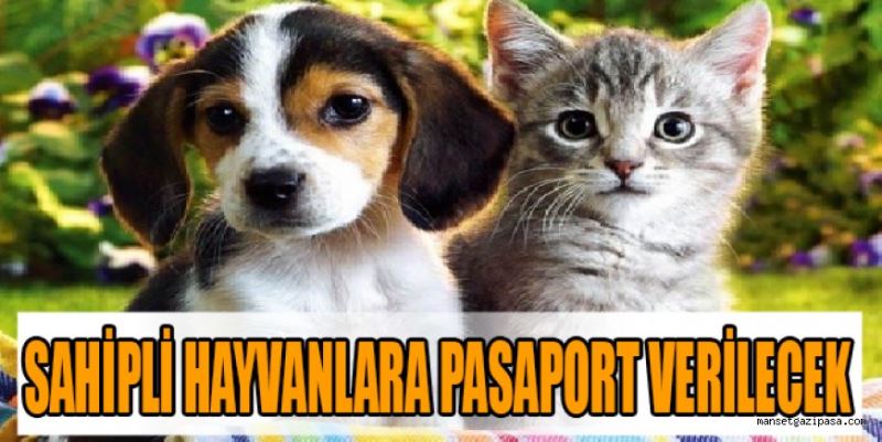 SAHİPLİ KEDİ VE KÖPEKLERE PASAPORT