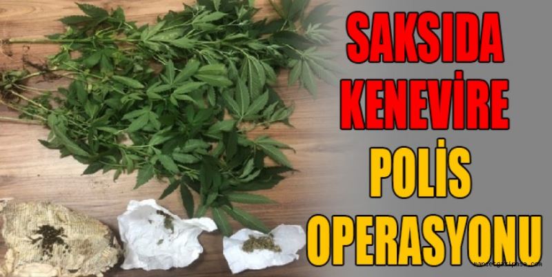 SAKSIDA KENEVİRE POLİS OPERASYONU