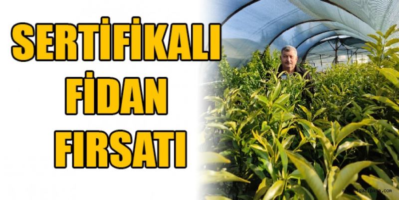 Sertifikalı fidan fırsatı