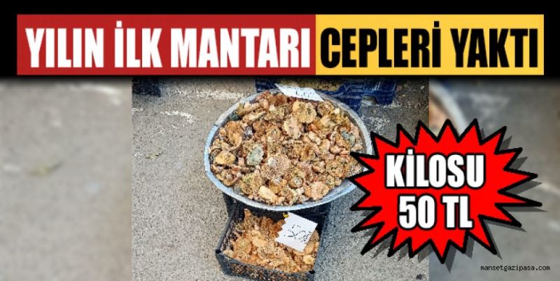 SEZONUN İLK MANTARI 50 TL