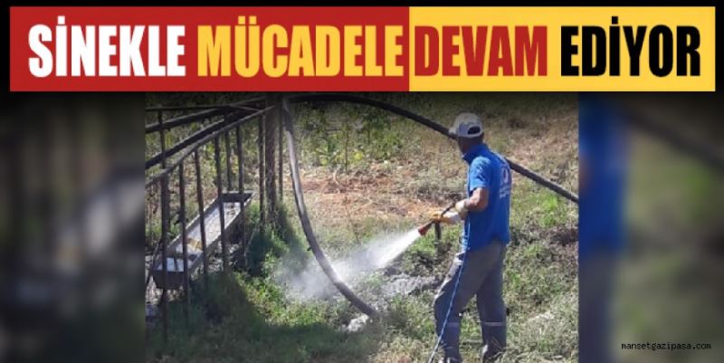 SİNEKLE MÜCADELE DEVAM EDİYOR