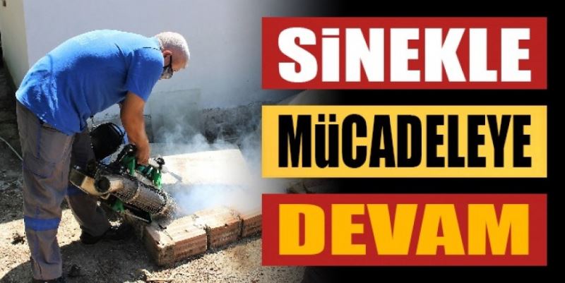 SİNEKLE MÜCADELE SÜRÜYOR