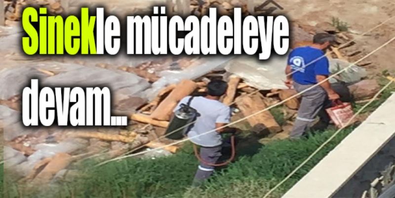 SİNEKLE MÜCADELEDE SÜRÜYOR