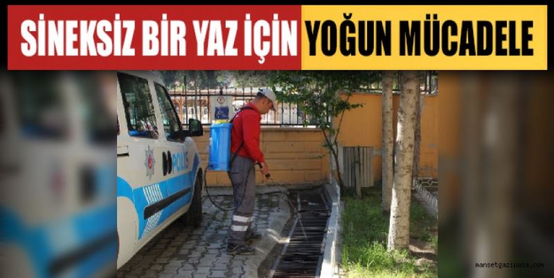 SİNEKSİZ BİR YAZ İÇİN YOĞUN MÜCADELE