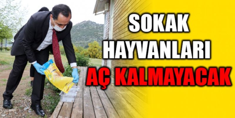 SOKAK HAYVANLARI AÇ KALMAYACAK