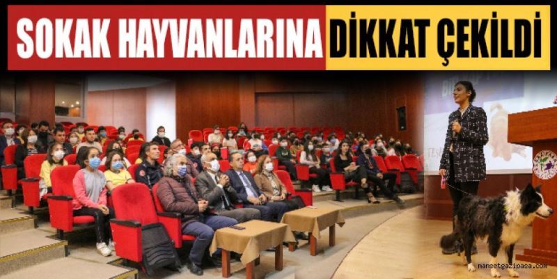 SOKAK HAYVANLARINA DİKKAT ÇEKİLDİ