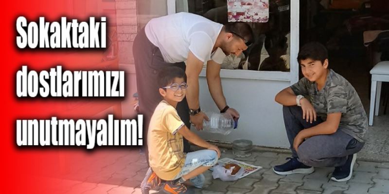 SOKAKTAKİ DOSTLARIMIZI UNUTMAYALIM!