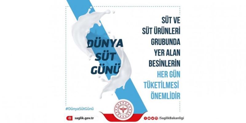 SÜTÜN ÖNEMİ 