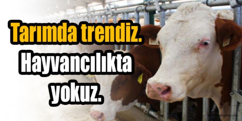 Tarımda trendiz  hayvancılıkta yokuz