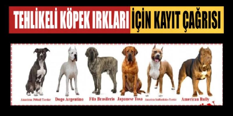 TEHLİKELİ KÖPEK IRKLARI İÇİN KAYIT ÇAĞRISI