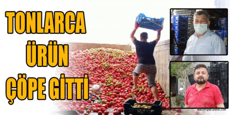 TONLARCA ÜRÜN ÇÖPE DÖKÜLDÜ