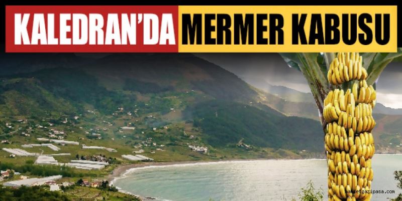 TROPİKAL CENNETTE MERMER KABUSU