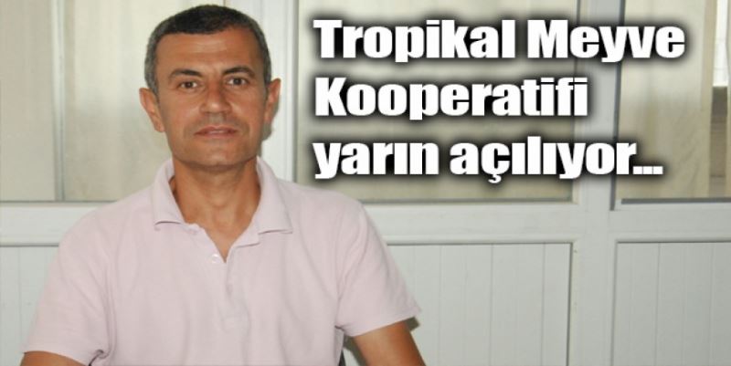 TROPİKAL MEYVE KOOPERATİFİ AÇILIYOR