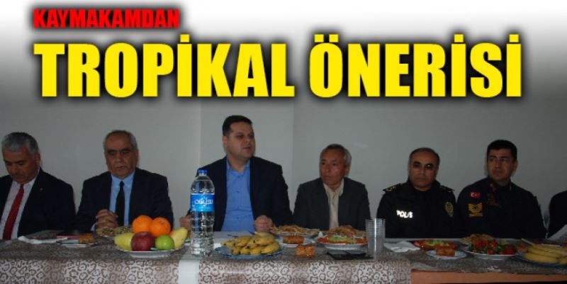 TROPİKAL ÖNERİSİ