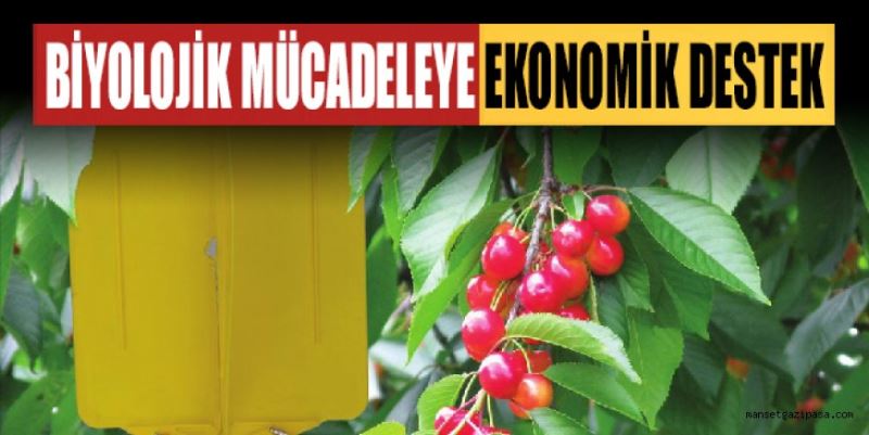 ÜRETİCİLERE BİYOLOJİK MÜCADELE İÇİN EKONOMİK DESTEK VERİLECEK