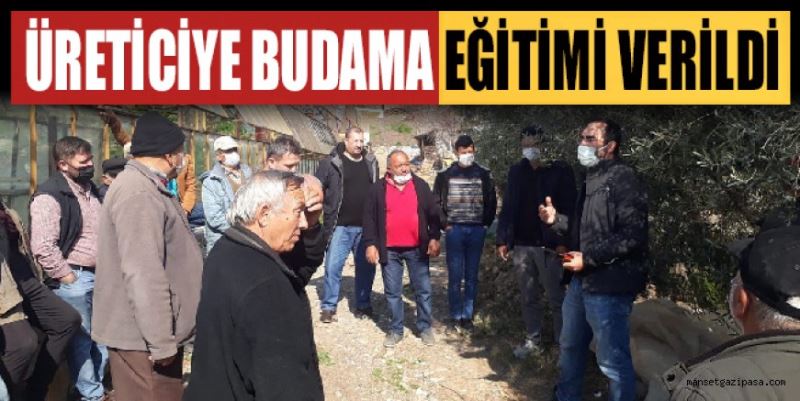 ÜRETİCİLERE BUDAMA EĞİTİMİ