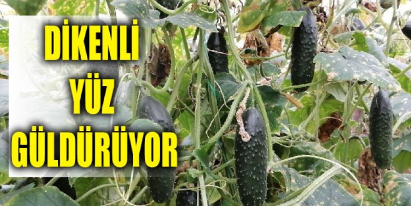 ÜRETİCİNİN YÜZÜNÜ GÜLDÜRDÜ