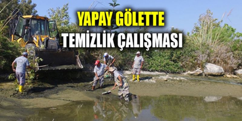 YAPAY GÖLETE BAKIM