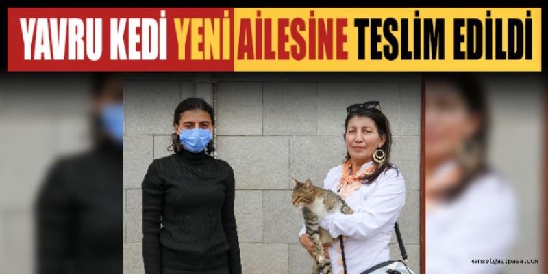 YAVRU KEDİ YENİ AİLESİNE TESLİM EDİLDİ