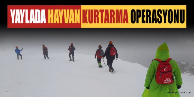 YAYLADA HAYVAN KURTARMA OPERASYONU