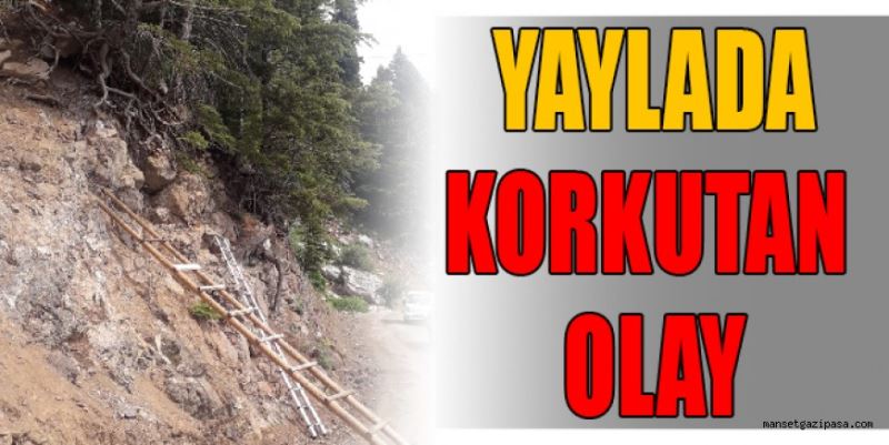 YAYLADA KORKUTAN OLAY