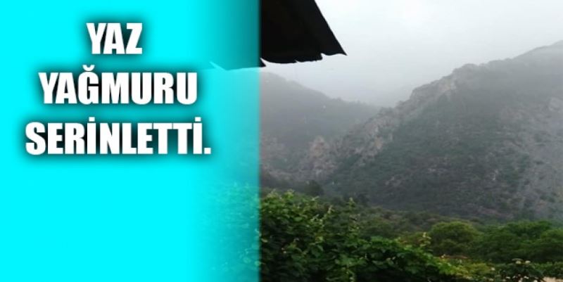 YAZ YAĞMURU SERİNLETTİ