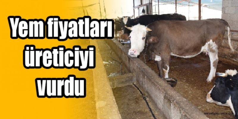 Yem fiyatları üreticileri zorluyor