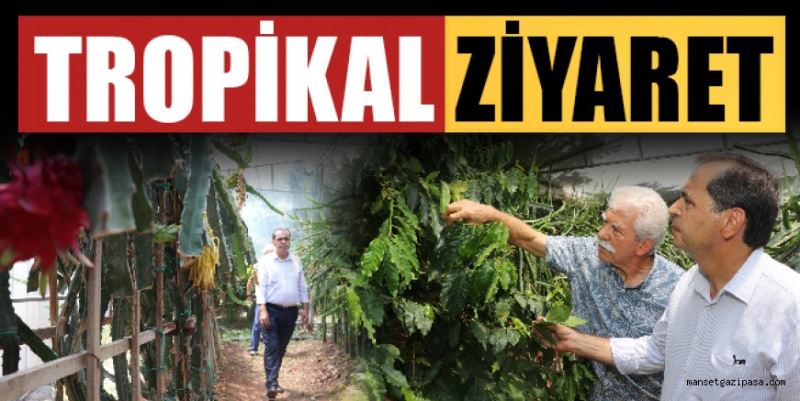YILMAZ’DAN TROPİK ZİYARET