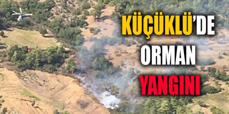YÖREME’DE ORMAN YANGINI