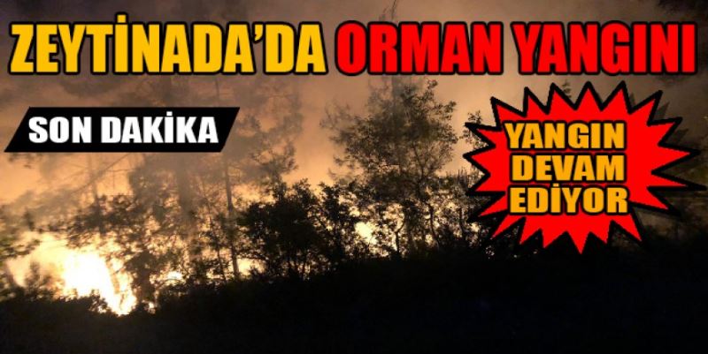 ZEYTİNADA YANIYOR
