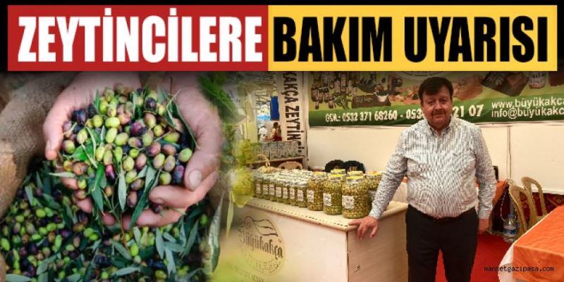 ZEYTİNCİLERE BAKIM UYARISI